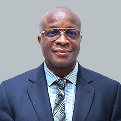 Dr. Emmanuel Kofi Dzotsi